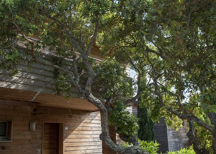 Aparthotel Cala Sultana Porto-Vecchio (Corsica)