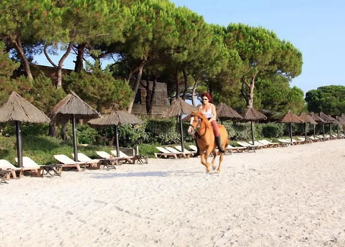 Appart hôtel Résidence Cala Sultana Porto-Vecchio (Corsica)